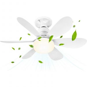 Ventilateur de Plafond avec Lumière LED Dimmable et Télécommande, 52cm 40W Petit - 6 Pales, 3 Vitesses, Minuterie (Douille E27) - Idéal pour Chambre - Neuf