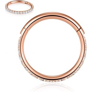 Kal-Piercings En Acier Chirurgical 316l Et Oxyde De Zirconium Pour Oreille Et Nez - Calibres 20, 18, 16, 14 - Anneaux Pour Homme Et Femme - Neuf