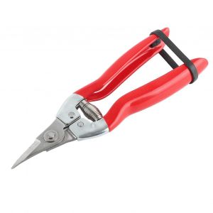 S&eacute;cateur robuste pour arbres fruitiers et bonsa&iuml;s, avec t&ecirc;te recourb&eacute;e vers le haut, cisailles de jardinage r&eacute;sistantes pour une taille et un &eacute;lagage pr&eacute;cis. - Neuf