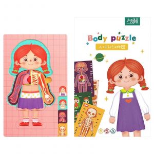 Jouet de puzzle scientifique, jouet de tableau cognitif d'organe de torse humain, jouet &eacute;ducatif d'enseignement pour enfants, fournitures de classe pr&eacute;scolaire-fille - Neuf