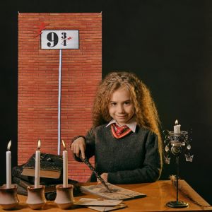 Brique Mur Fond De F&ecirc;te Banni&egrave;re D&eacute;coration,9 Et 3/4 Station D&eacute;coration,Murale De F&ecirc;te De Sorcier Banni&egrave;re De Mur De Brique Passage Secret Pour D&eacute;corations D'anniversaire - Neuf