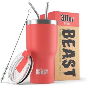 Beast Tasse Thermique De Voyage &iquest; 300 Ml I Arc-En-Ciel I Double Paroi Inox Caf&eacute; Isol&eacute; I Avec 2 Pailles S Et Brosse &Agrave; Dents De Nettoyage I Id&eacute;al Pour Caf&eacute; Froid Ou - Neuf