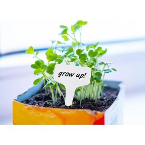 500 Pieces Etiquette De Plante Semis Etiquette Jardin Potager Plantation &Eacute;tanche Plastique Exterieur,5 Couleurs,10x6cm - Neuf