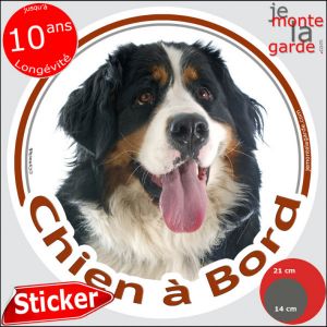 Bouvier Bernois, Sticker Voiture Rond Photo "Chien &Agrave; Bord", Disque Adh&eacute;sif Qui R&eacute;siste &Agrave; La Pluie Au Soleil Et Au Gel Jusqu'&Agrave; 10 Ans, Id&eacute;e Cadeau, 14 Cm De Diam&egrave;tre. - Neuf
