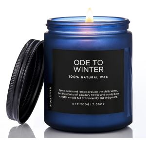 Bougies Parfumées en Soja Ode à l`Hiver 200g - 50h Parfum Hivernal/Relaxant, Cire Végétale Ambiance Apaisante, Cadeau Maison/Salon/SPA - Neuf