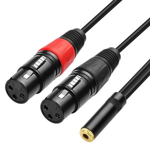 C&acirc;ble de microphone double XLR vers jack 3,5 mm Dual XLR femelle vers jack 3,5 mm 1/8 TRS Jack Audio St&eacute;r&eacute;o C&acirc;ble r&eacute;partiteur Y C&acirc;ble r&eacute;partiteur en Y C&acirc;ble adaptateur pour ordinateur ou - Neuf