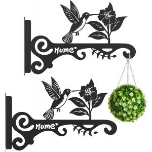 ERYI-% 2 Supports Muraux En Fonte Antirouille - Porte-Plantes Suspendu 15Kg Pour Jardinières/Lanternes/Volières | Ganchers Robustes Avec Vis Incluses (Résistant Aux Intempéries) - Neuf