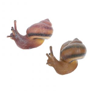 2pcs Simulation Escargot Figurine Escargot Figure Escargot Jouet Simulation Modèle éducatif animal - Neuf