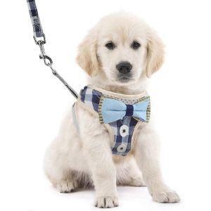 Harnais Et Laisse Pour Chien,Gilet De Transport Rembourré En Maille Douce,Résistant À La Traction,Respirant,Réglable,Gilet Papillon Pour Chiens Et Chats De Petite À Moyenne Taille (Taille M) - Neuf