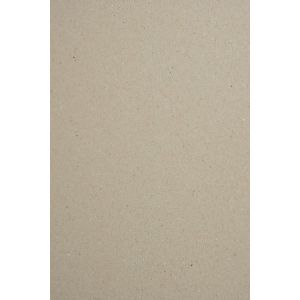 Jexnovashop-20x Carton Gris A4 210 X 297 Mm 615g 1mm Carton Pour Reliure Papier &Eacute;pais De Bricolage Papier Cartonn&eacute; Gris Pour Loisirs Cr&eacute;atifs Calendriers Travaux Manuels Couverture &Agrave; Reliure Puzzles - Neuf