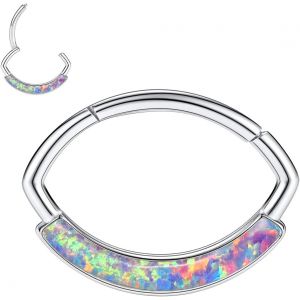 Chenquansarl-Boucles D'oreilles 16 G En Acier Inoxydable Pour Septum, Daith, Rook, Tragus, H&eacute;lix, Cartilage, Lobe Septum, Bijoux Serpent, Pyramide, Fl&egrave;che, &Eacute;toile, Anneau Segment&eacute; &Agrave; Charni&egrave;re - Neuf