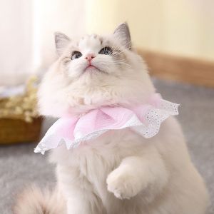 Hjlian Collier En Dentelle Pour Chat Et Chien, Reglable, Accessoire Pour Bavoir A Fleurs (Xl) - Neuf