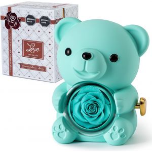Ours en Rose Bleu Clair avec Rose &Eacute;ternelle - Fleurs R&eacute;elles et Collier en Forme de C?ur - Coffret Gris &Eacute;l&eacute;gant - Id&eacute;e Cadeau pour Saint-Valentin, F&ecirc;te des M&egrave;res, Mariage, Anniversaire - Neuf