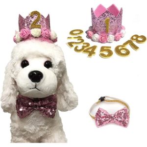 Kal-Chapeau D'anniversaire Pour Animal Domestique, Chapeau De Couronne D'anniversaire Et N?ud Papillon Avec Breloques De Figurines, Accessoire De Fête Pour Chiens De Petite Et Moyenne Taille - Neuf