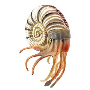 Mini figurine de poisson r&eacute;aliste, animal marin, jouet, r&eacute;plique de d&eacute;coration de g&acirc;teau, jouet &eacute;ducatif pour enfants, collection de boutiques d'aquarium-T15381 - Neuf