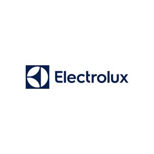 Electrolux EP82AB25UG aspirateur balai et balai &eacute;lectrique Batterie Sec Cyclonique Sans sac 0,4 L 100 W Gris - Neuf