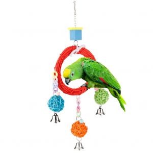 Hjlian Anneau Colore En Rotin Pour Perroquet, Balancoire Ronde Suspendue, Jouet Sur Pied, Accessoire Pour Cage - Neuf