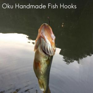 6 X Hair Rigs 12lb Barbless Taille 6 8 10 Carp Fishing Ready Tied Dark Matter Hair Rigs Crank Hook Wit - Neuf