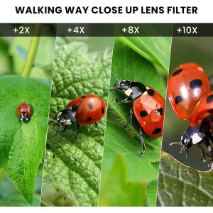 Filtre Macro +8 Pour Prises De Vue Extr&ecirc;mes U2013 Lentille Close-Up 62 Mm Haute D&eacute;finition Pour Miniatures, Textures Et D&eacute;tails Techniques[Z843] - Neuf