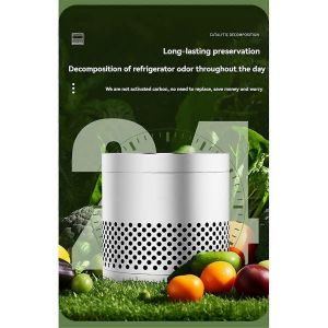 Éliminateur d'odeurs pour réfrigérateur domestique Charbon actif argent - Neuf