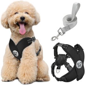 Eryi-Harnais Pour Chiens Avec Laisse, Harnais Sécurisé Anti-Traction En Forme De X, Veste Pour Chiens De Petite & Moyenne Taille, Ceinture De Sécurité D'animaux Réglable Pour Promenade, M - Noir - Neuf