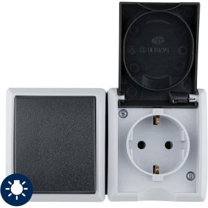 AquaForm 0510231777 Prise de courant avec interrupteur A/W, IP44, bipolaire, montage en saillie, horizontal, gris - Neuf