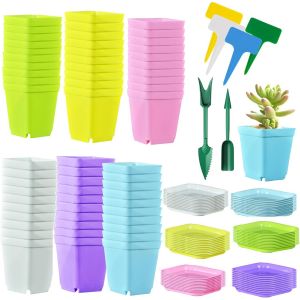 Lbgwp60-Lot De 60 Pots De Fleurs Carrés En Plastique Coloré De 7 Cm D'épaisseur Pour Décoration De Jardin, Bureau Et Balcon, Multicolore - Neuf