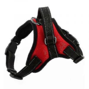 Mode Nylon Respirant Chiens De Compagnie Harnais Réglable Laisse Laisse Collier Ceinture Avec Fil Réfléchissant 3m - Neuf