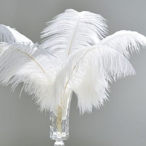Mevronisshop-10 Pi&egrave;ces Plumes D'autruche,25-30cm Plumes Blanches Plume,Plumes D&iquest;Autruche Artisanat Plumes,Panache Animal Pour Artisanat Bricolage Vase Vase Home Wedding Holiday Decorati - Neuf