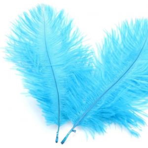 Lot de 50 plumes d'autruche naturelles de 15 &agrave; 20 cm-Pour travaux manuels, d&eacute;coration de maison,costumes,d&eacute;coration de table,mariage,f&ecirc;te,chapeau,v&ecirc;tements-Bleu - Neuf