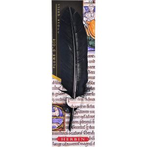 Une Plume D'oie Taillée 21 Cm,Marine - Neuf
