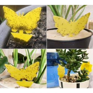 Lot de 100 pièges à mouches - Pièges à mouches - Papillon mignon et efficace - Neuf
