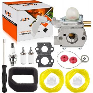 Carburateur pour Souffleur de Feuilles Homelite 26B, Compatible UT09526, avec Filtre a Air et Kit de Ligne de Carburant - Neuf