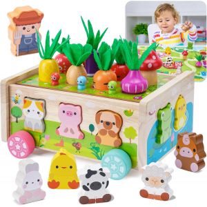 Montessori Baby 1 Year|Montessori 2 Year Old Child Toy|Cute Farm Car with Card|Easter Gift Learning Toys for Babies Toddlers 1 2 3 Years Old - Neuf