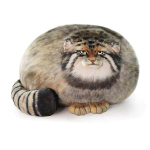 Oreiller de corps en peluche pour chat,oreiller en peluche pour chat Pallas,chat en peluche mignon des steppes peluches douces - Neuf