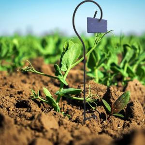 KALANKA-Lot de 4 de berger pour poteaux de jardin, lumière de terrasse extérieure, berger, de plantation, mangeoire, multi-usages, support de lanterne en métal, poteaux de - Neuf