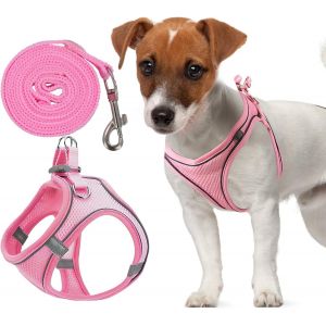 Kalanka-Ensemble Harnais Et Laisse R&eacute;glable 1,5m - Gilet R&eacute;fl&eacute;chissant Respirant Mesh Pour Petits Et Moyens Chiens (Rose, 3xs) - Neuf