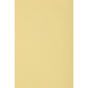 20x Carton Crème 250g Papier Décoratif A4 210x297mm Burano Camoscio Idéal Pour Cartes De Voeux Scrapbooking Bricolage Invitations Art Et Artisanat Anniversaire Diy Loisirs Créatifs - Neuf