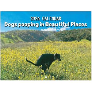 Calendrier 2026 avec chiens qui font , calendrier amusant 2026, chiens Pooping in Beautiful Places, Pooping Dogs, calendrier 2026, animaux qui font , calendrier 2026 (vert) - Neuf