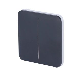 Panneau tactile pour interrupteur d'&eacute;clairage double graphite - AJ-SOLOBUTTON-2G-GRA - Neuf