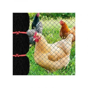 Filet Anti-Oiseaux De 7,6 X 15,2 M Avec Maille Carree De 2,5 Cm, Filet De Jardin Reutilisable Pour Poulailler, Filet De Volaille En Nylon Pour Cloture De Cerf Pour Proteger Les Arbres Fruitiers De Leg Goodnice - Neuf