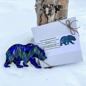 2pcs Bricolage Cha&icirc;ne De Montagnes Mosa&iuml;que Kit Dr&ocirc;le Tournesol Champignon Vitrail Artisanat Vitrail Renard Mosa&iuml;que Kit, B - Neuf