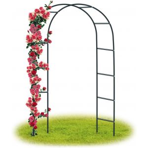 Letnerny-Arche De Jardin/Mariage En M&eacute;tal - Arceau &Agrave; Rosiers, Tuteur, Colonne Pour Plantes Grimpantes - 240 X 140 X 38 Cm - Noir - Neuf