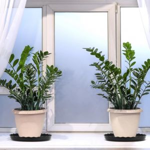 KALANKA-Lot de 5 soucoupes en plastique durable de 30 cm pour plantes, bac récupérateur d'eau pour pot de fleurs, soucoupes pour intérieur, extérieur, jardin, plantes en pot (noir) - Neuf