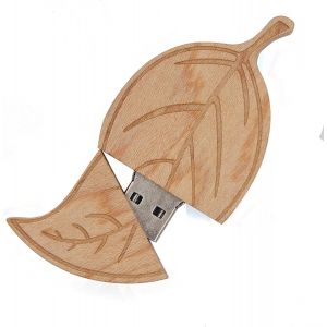 Lecteurs de pouce en &eacute;rable pour &eacute;tudiants et cadeaux d'affaires (1 paquet de 4 Go) - Neuf