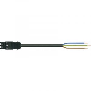 Wago C&acirc;ble De Raccordement Secteur Alimentation M&acirc;le - Extr&eacute;mit&eacute;(s) Ouverte(s) Nombre Total De P&ocirc;les: 2 + Pe Noir 2.00 M 1 Pc(s) D10906 - Neuf