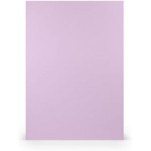 Lot De 25 Feuilles De Papier De Couleur Din A4 - Taupe Nervuré - Marron Clair - Gris Boue - 160 G/M² - 29,7 X 21 Cm - Pour Peinture, Bricolage Et Impression - Neuf