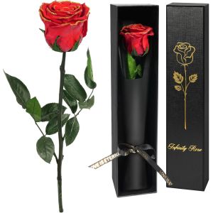 Rose Eternelle Cadeau Femme,Vraie Rose avec Tige Cadeau Maman Fleur Pr&eacute;serv&eacute;e en Coffret Cadeau Fleur Eternelle Cadeau Anniversaire Femme,Cadeau pour Noel Saint-Valentin Femme,Rose Rouge - Neuf
