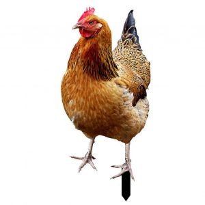 Statue de jardin de coq r&eacute;aliste - d&eacute;cor de coq acrylique double face pour ornement de cour ext&eacute;rieure,grand coq poulet sculpture art - Neuf