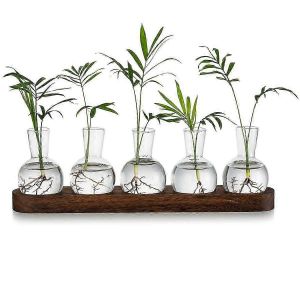 Station de propagation de terrarium de plantes,vase à bulbe de jardinière en verre avec plateau en bois,vases à bourgeons modernes pour - Neuf
